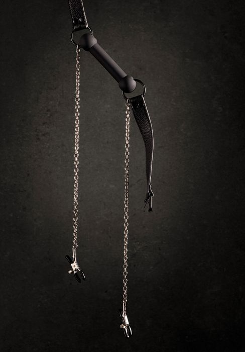 Silicone Big Gag with Nipple Clamps