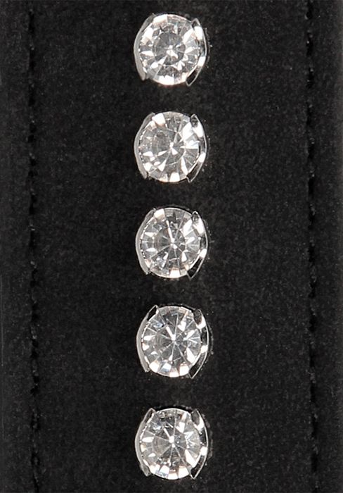 Ouch! Diamond Studded Collar with Leash